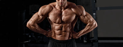 CHEST DEFINITION